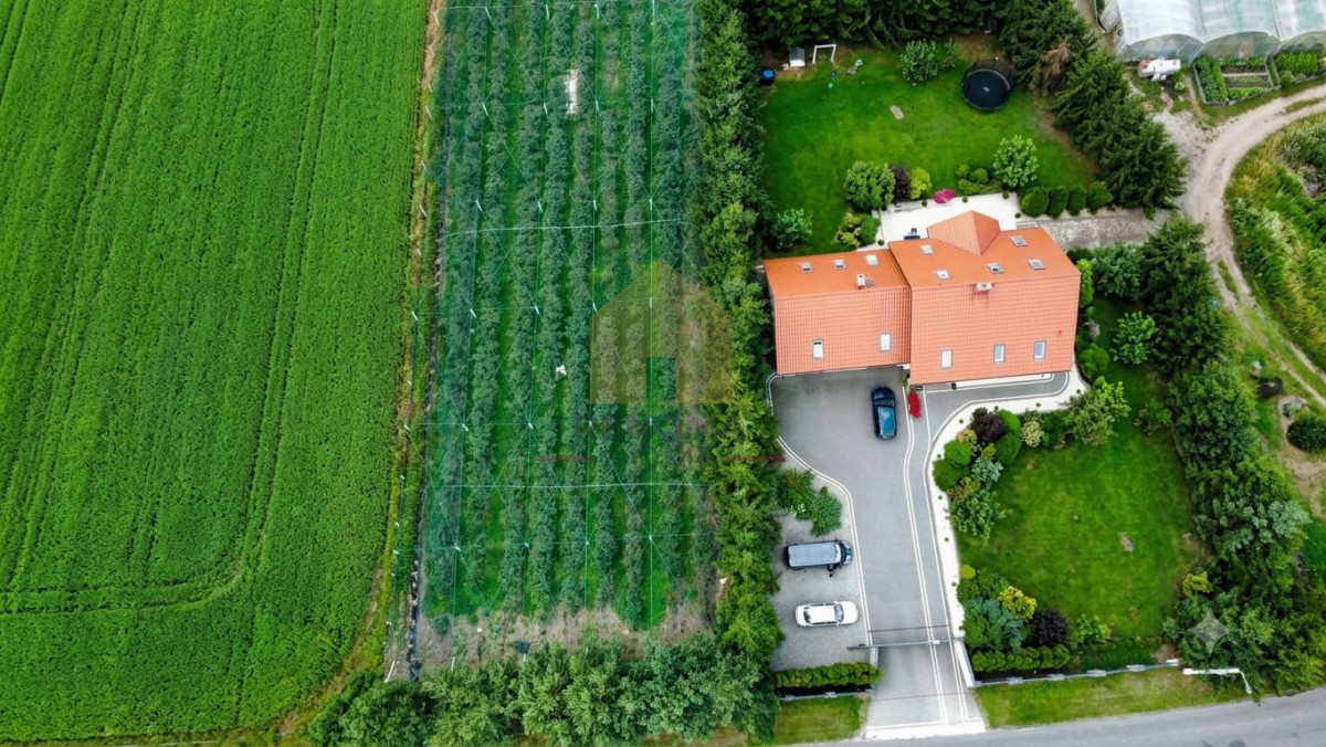 Działka budowlana z plantacją borówek gratis - Więcej