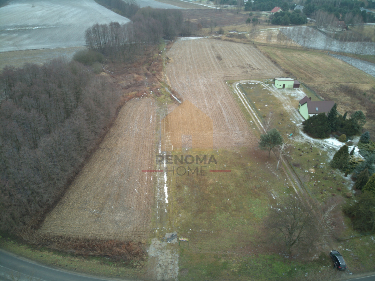 Działki budowlane – Piszkawa | gmina Oleśnica - Widok 3